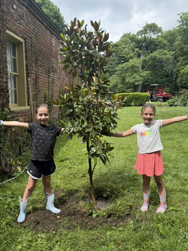 Two children beside a young magnolia tree at Ridgeway