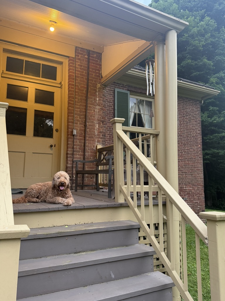 A dog resting on Ridgeway’s porch